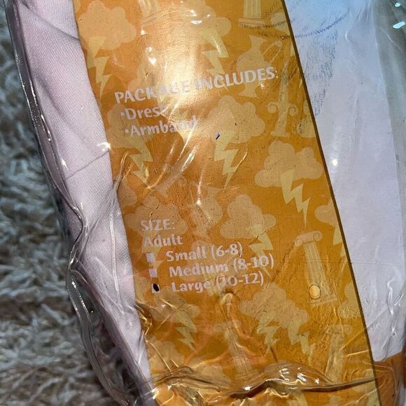 California Costumes Women's Spartan Queen Halloween Costume Large 10-12 Never Wo - Picture 2 of 8